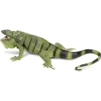 Safari speeldier leguaan 28 cm groen