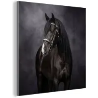 MuchoWow Aluminium schilderij 20x20 cm - Wanddecoratie metaal - Portret - Paard - Zwart - Metalen muurdecoratie woonkamer - Decoratie industrieel - Foto op dibond - Industriële accessoires slaapkamer
