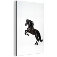 MuchoWow Aluminium schilderij 80x120 cm - Wanddecoratie metaal - Zwart - Paard - Portret - Metalen muurdecoratie woonkamer - Decoratie industrieel - Foto op dibond - Industriële accessoires slaapkamer