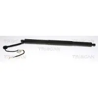 TRISCAN 8710 11308 Gasveer achterklep