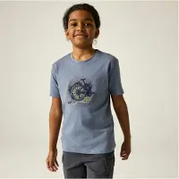 Dare 2b Dare2B Kids Trailblazer III T-shirt met korte mouwen en grafische print