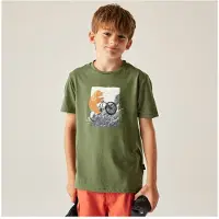 Dare 2b Dare2B Kids Trailblazer III T-shirt met korte mouwen en grafische print