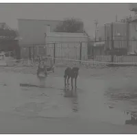 Ginza.se Nivhek - After Its Own Death / Walking In A Spiral Towards The House (2 LP)