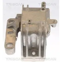 TRISCAN 8505 29125 Motorsteunlager