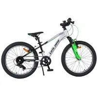Volare Boost Kinderfiets - 20 inch - 7 Speed - Zilver/Groen