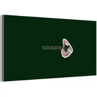 MuchoWow Aluminium schilderij 160x80 cm - Wanddecoratie metaal - BLAH BLAH BLAH - Mond - Groen - Metalen muurdecoratie woonkamer - Decoratie industrieel - Foto op dibond - Industriële accessoires slaapkamer