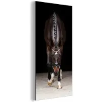 MuchoWow Aluminium schilderij 20x40 cm - Wanddecoratie metaal - Paard - Modern - Portret - Metalen muurdecoratie woonkamer - Decoratie industrieel - Foto op dibond - Industriële accessoires slaapkamer