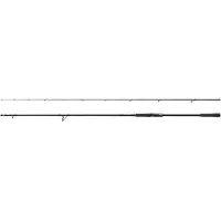 Shimano Fishing Sustain Cx Eva Spinning Rod Zilver 2.69 m / 21-56 g