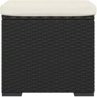 vidaXL Hockers met kussens 2 st 40x30x40 cm poly rattan zwart