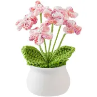 BOTC Kunstplant - Gehaakt bloemenboeket - gebreide bloemen – Handgemaakte Gehaakte Kunstbloem Decoratie – Roze en wit