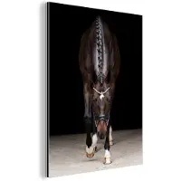 MuchoWow Aluminium schilderij 60x80 cm - Wanddecoratie metaal - Paard - Modern - Portret - Metalen muurdecoratie woonkamer - Decoratie industrieel - Foto op dibond - Industriële accessoires slaapkamer