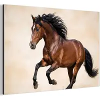 MuchoWow Aluminium schilderij 180x120 cm - Wanddecoratie metaal - Paard - Galop - Energie - Metalen muurdecoratie woonkamer - Decoratie industrieel - Foto op dibond - Industriële accessoires slaapkamer