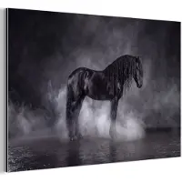 MuchoWow Aluminium schilderij 60x40 cm - Wanddecoratie metaal - Paard - Magisch - Zwart - Metalen muurdecoratie woonkamer - Decoratie industrieel - Foto op dibond - Industriële accessoires slaapkamer