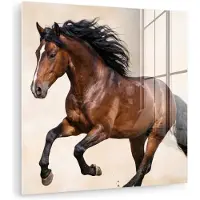 MuchoWow Glasschilderij 50x50 cm - Schilderij acrylglas - Paard - Galop - Energie - Foto op glas - Muurdecoratie woonkamer - Wanddecoratie slaapkamer - Schilderijen