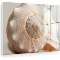 MuchoWow Glasschilderij 40x30 cm - Schilderij acrylglas - Schelp - Detail - Beige - Foto op glas - Muurdecoratie woonkamer - Wanddecoratie slaapkamer - Schilderijen