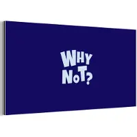 MuchoWow Aluminium schilderij 40x20 cm - Wanddecoratie metaal - Blauw - Why not - Minimalistisch - Metalen muurdecoratie woonkamer - Decoratie industrieel - Foto op dibond - Industriële accessoires slaapkamer
