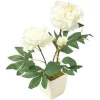 Homescapes kunstbloemen pioenroos in witte pot, crème