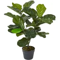 Homescapes Kunstplant Vioolbladplant (Ficus lyrata) in Pot – 70 cm – Groen – UV-bestendig