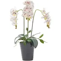 Homescapes Kunstmatige Witte Phalaenopsis Orchidee in Zwarte Keramische Pot 56 cm