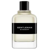 Givenchy Herengeuren GENTLEMAN GIVENCHY Eau de Toilette Spray 100 ml