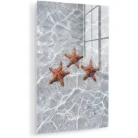 MuchoWow Glasschilderij 40x60 cm - Schilderij acrylglas - Zeesterren - Water - Helder - Foto op glas - Muurdecoratie woonkamer - Wanddecoratie slaapkamer - Schilderijen