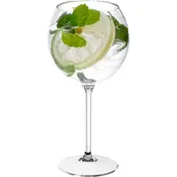 SANTEX 1x Rode wijn/gin tonic ballon glazen 650 ml van onbreekbaar transparant kunststof - Wijnglazen
