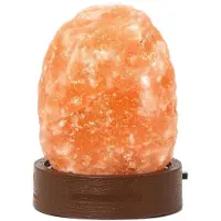Legami Himalayan Salt Mini Tafellamp