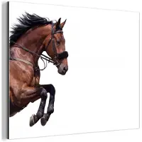 MuchoWow Aluminium schilderij 160x120 cm - Wanddecoratie metaal - Paard - Springen - Modern - Metalen muurdecoratie woonkamer - Decoratie industrieel - Foto op dibond - Industriële accessoires slaapkamer