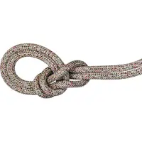 Mammut - 9.5 Crag We Care Classic - Enkeltouw 70 m, wit