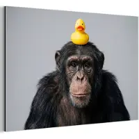 MuchoWow Aluminium schilderij 30x20 cm - Wanddecoratie metaal - Chimpansee - Badeend - Grijs - Metalen muurdecoratie woonkamer - Decoratie industrieel - Foto op dibond - Industriële accessoires slaapkamer
