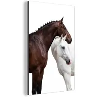 MuchoWow Aluminium schilderij 20x30 cm - Wanddecoratie metaal - Paard - Modern - Balans - Metalen muurdecoratie woonkamer - Decoratie industrieel - Foto op dibond - Industriële accessoires slaapkamer