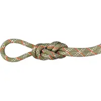 Mammut - 9.5 Gym Classic Rope - Enkeltouw 50 m, beige