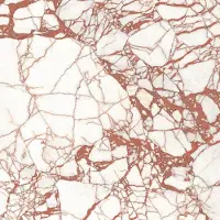 Navale Lunelle vloertegel 120x280cm rood glans gerectificeerd