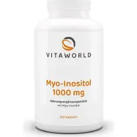 Vita-World GmbH myo-inositol 1000mg 120 capsules