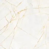 Navale Lunelle vloertegel 120x120cm goud glans gerectificeerd
