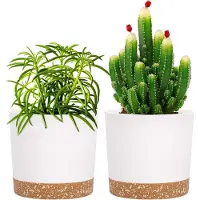 Famanu - Set van 2 moderne plantenpotten 12,7 cm met drainage wit