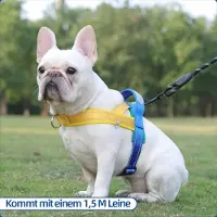 Famanu hondentuig voor kleine tot middelgrote honden - Verstelbaar en reflecterend - Maat S