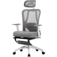 FOXSPORT Bureaustoel - Verstelbare hoofdsteun, armsteun, lendenkussen - met voetsteun - Computerstoel - Voor Gamen/Kantoor/Thuiswerken - met kledingrek - Office Chair - Ergonomische Gamestoel - Grijs