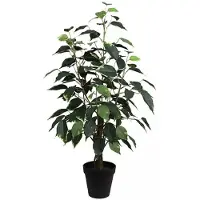 Buitengewoon Boet Ficus Bonsai Donkergroen 60 cm kunstplant Buitengewoon de Boet