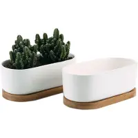 Famanu - Succulente Plantenpot Set van 2, Ovaal Keramiek Vetplant Bloempot met Bamboe Onderzetter, Binnen Klein Cactus Pot met Afvoergat Wit voor Sappige Aloë Kruid Kamerplant Decoratieve Geschenk