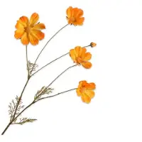 Silk-ka Kunstbloem Cosmea Oranje / Geel H 92 Cm