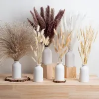 Famanu - Set van 6 witte keramische vazen met 100 stuks gedroogd pampasgras, boho-esthetische kleine vazen voor bruiloft tafelmiddelpunten, woonkamerdecoraties, eettafeldecoratie, entree, plank