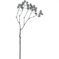 Buitengewoon Boet Sifang fruit spray bruin 68 cm kunsttak Buitengewoon de Boet