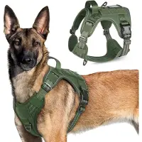 Famanu – Hondentuig Tactische Hondentuigje met Molle Paneel en Handvat - Reflecterend Verstelbare Hondenharnas voor Grote Hond - Borst Harnas Honden voor Wandelen Training - Groen - XL