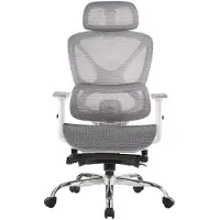 FOXSPORT Ergonomische Bureaustoel - 5D lendensteunsysteem - Armleuningen 4D - Rugleuning 90° tot 135° - tot 115kg Belasting - Bureau stoel voor kantoor, gaming- Grijs