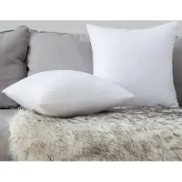 Famanu – Kussenvulling set van 2, 40 x 40 cm, wasbare binnenkussens voor decoratieve kussens, polyester vulling