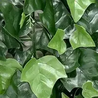 Buitengewoon Boet Kunstplanten mat 50x50 cm hedera mix Buitengewoon de Boet
