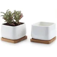 Famanu - 9,5CM Succulente Plantenpot Set van 2, Vierkant Keramiek Vetplant Bloempot met Bamboe Onderzetter, Binnen Klein Cactus Pot met Afvoergat Wit voor Sappige Aloë Kruid Decoratieve Geschenk