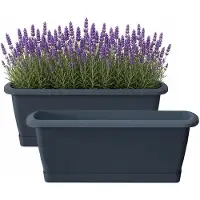 Prosperplast Plantenbak Respana - 2x - antaciet- met onderzetter - 49 x 18 cm - bloembak