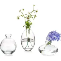 Famanu – Kleine Vaas Voor Tafeldecoratie Handgemaakte Glazen Vazen voor Bloemen - 3 - Delige Doorzichtige Vintage Bud - Vazen esthetische Minivaasset kamerornamenten